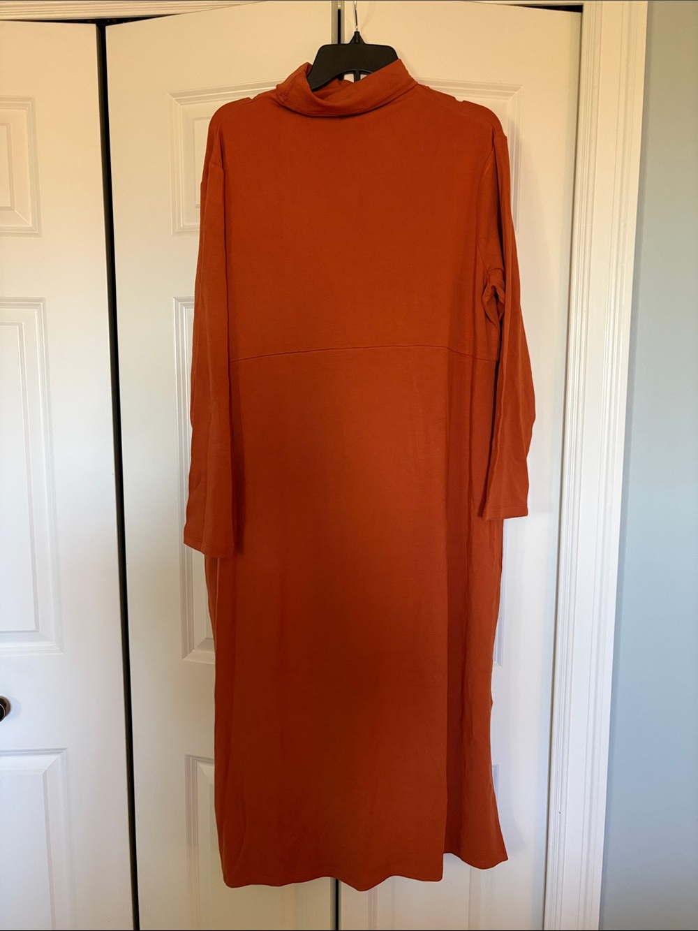 Women with Control Turtleneck Maxi Dress in Rust